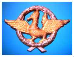 Pilot Emblem
